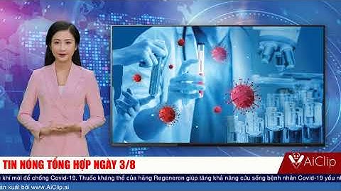 TIN NÓNG TỔNG HỢP NGÀY 3/8 | Bản tin được tạo tự động bởi công nghệ trí tuệ nhân tạo của AiClip.ai