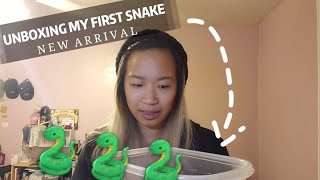 Unboxing My First Snake!!! 🐍