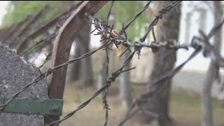 euronews on the frontline - Refugees taking a risk on Europe