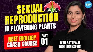 Sexual Reproduction in Flowering Plants | NEET Crash Course 2024 | Demo 1 | Biology | Ritu Rattewal