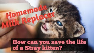 How to Make Homemade Milk Replacer  | Which milk is good for kittens? | Tame And Wild