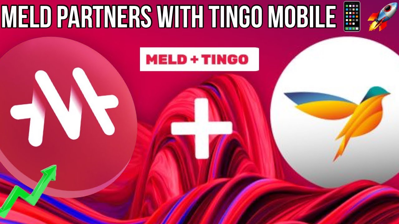 MELD Partners with Tingo Mobile to Bring MELD to 9 Million Users in Africa  + Gold Backed Stable Coin