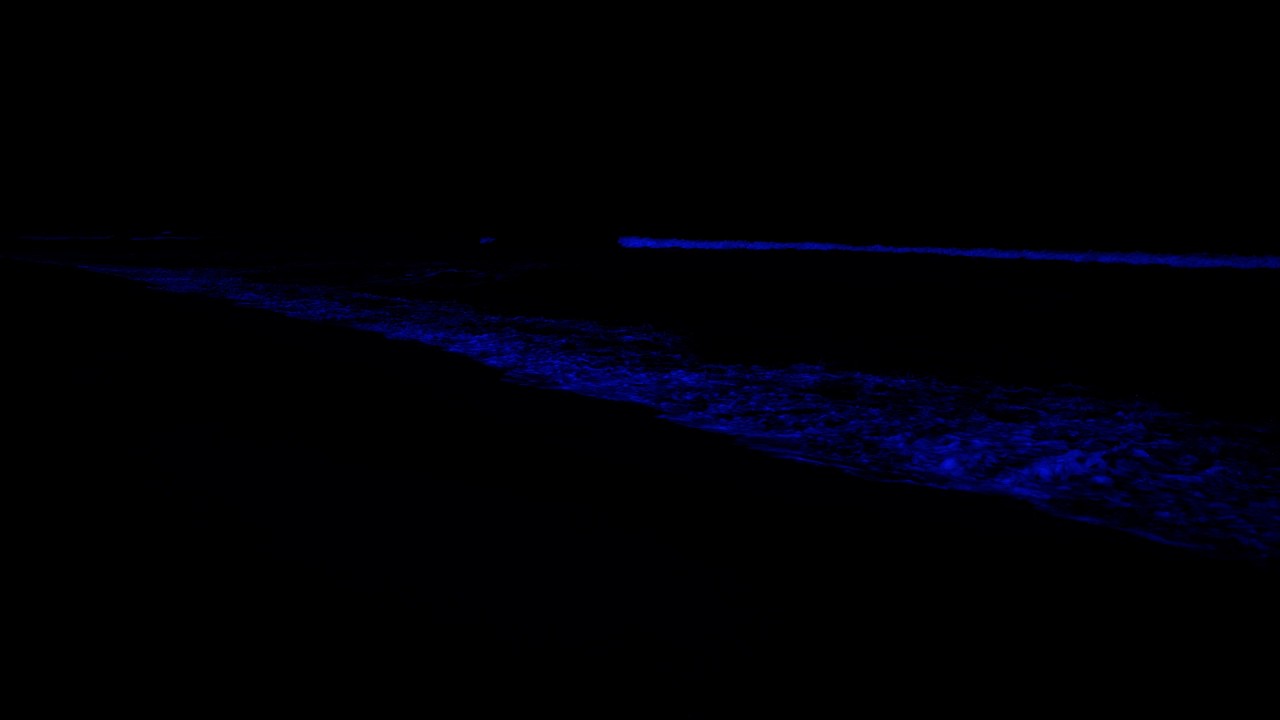 No Ads Peaceful Sleep In 3 Minutes, Fall Asleep Fast 😴 Sleep Music for Deep Sleep -No More Insomnia