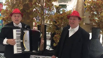 Ross Maio Accordion Trio