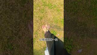 Oh huh, I didn't catch it #Sugar glider daily life #Player sugar glider #Cute pet sugar glider