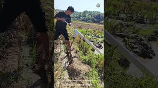 Hand In Hand Water Dispenser Only 2 Mantou Are Needed For The Whole Process rural Life7bfea