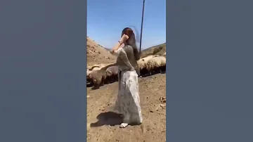 ترند اليمن الجديد نداء البعيد ايوبيه قوه القوه 