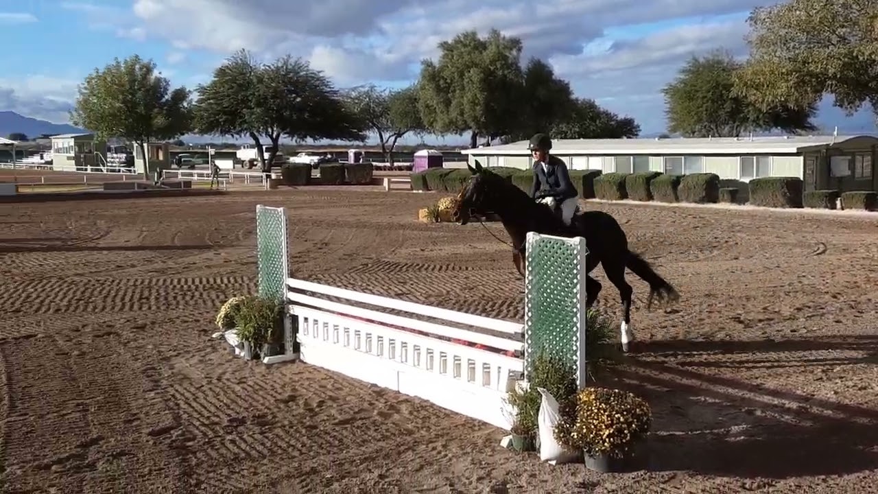 Derringer handy hunter week 2 3'3 Performance Tucson