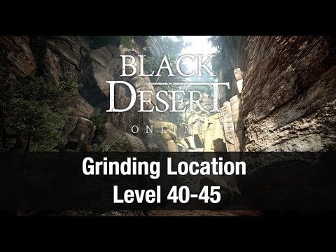 Black Desert Online ★ Power Leveling ★ Level 40-45 Grinding Location