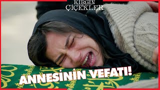 Kırgın Çiçekler Özel Kısa Bölümler | 140