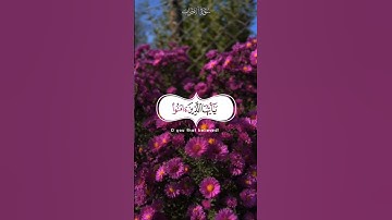 ان الله وملائكته يصلون على النبي| تلاوة خاشعة |من سورة الأحزاب | #ارح_مسامعك #قرآن #راحة_نفسية #قرآن