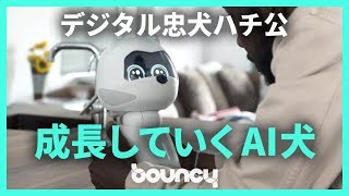 AI搭載のデジタル忠犬ハチ公？　つぶらな瞳で飼い主に懐く「Kiki」