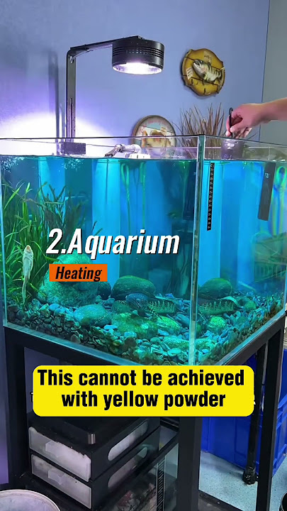 Methylene Blue  #singapore #fish #aquariumfishkeeper #medicine