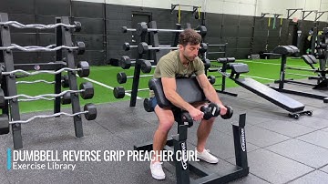 Dumbbell Reverse Grip Preacher Curl
