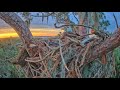 Time-Lapse at The Nest 12/18/2022