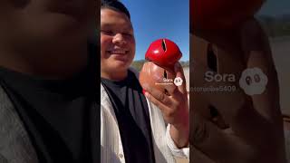 (Based on my real life experiences) me getting a mario piggy bank (Sora AI archives)