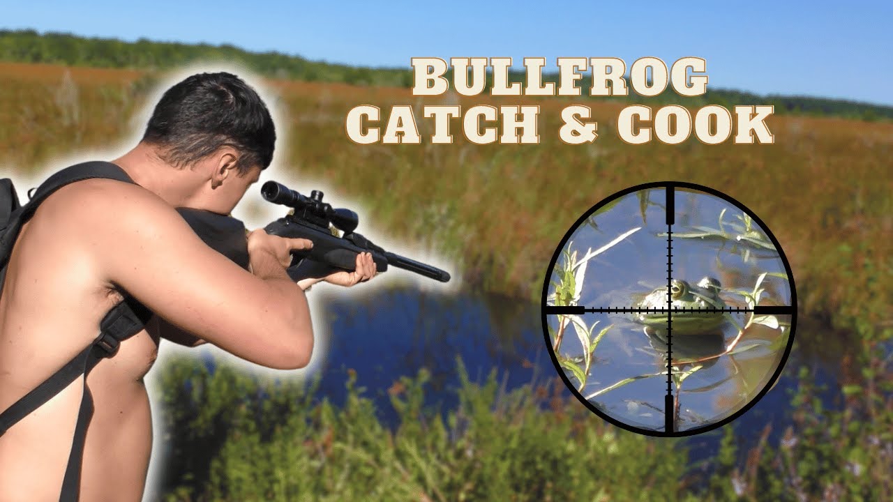 BULLFROG Hunting with an AIR RIFLE | Catch and Cook - YouTube