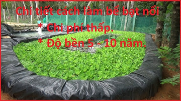 TMH Vlog #41|| Cách làm bể bạt nổi nuôi ốc bươu đen, nuôi cá, chi phí thấp, độ bền cao 5 đến 10 năm