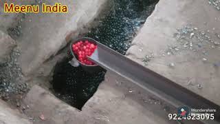 Meenu India
