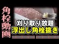 【 角栓抜き動画 】浮き出している角栓を無造作に取る角栓抜き～A blackhead opener that casually removes protruding blackheads
