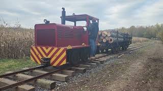 Locomotive 119 Takes Two Railcars of Logs Back to the Yard