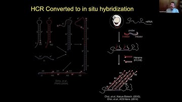 Adding Dimensions to Multiplex Molecular Imaging