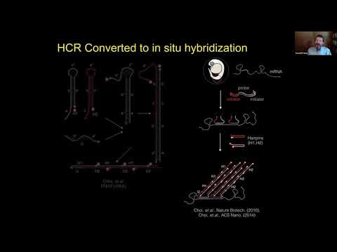 Adding Dimensions to Multiplex Molecular Imaging