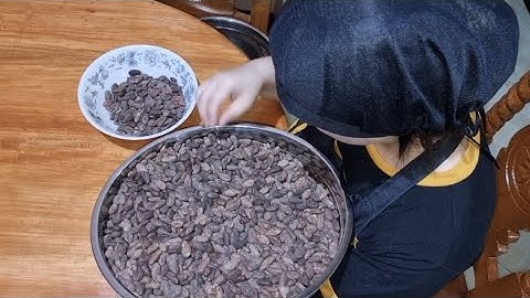 SORTING OF DRY AND FERMENTED CACAO BEANS BEFORE ROASTING|PROMOTING BENGUET CACAO