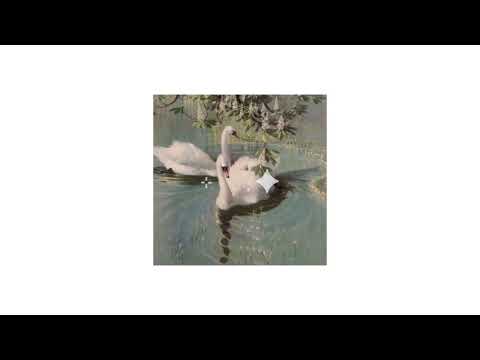 ⭒Ladyfingers ﹎ Herb Alpert [Speed up]