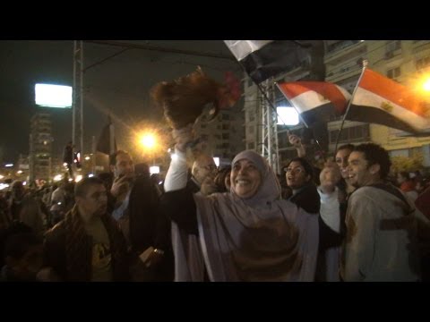  الوطن | ظهور طائر النهضة لأول مرة أمام الاتحادية