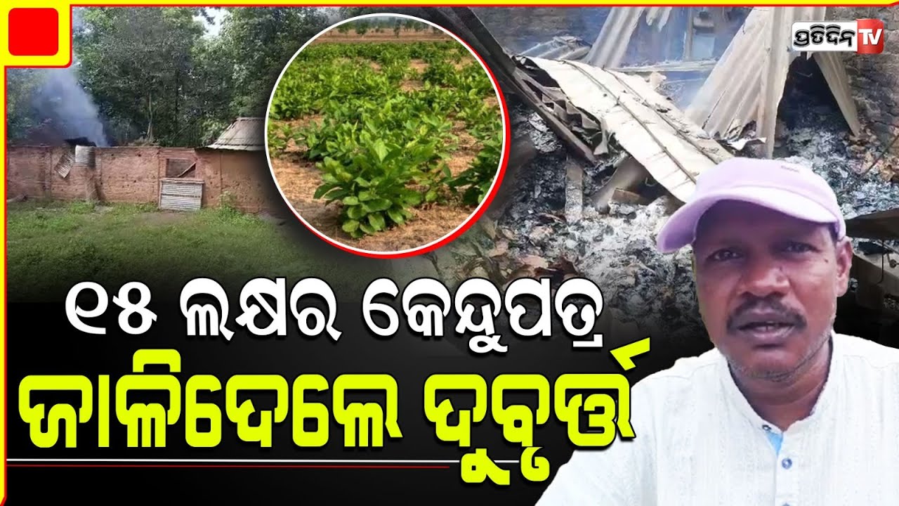 ବଲାଙ୍ଗୀର ପାଟଣାଗଡ଼ କେନ୍ଦୁପତ୍ର ଫଡିଘରେ ରାତିରେ ନିଆଁ ଲଗାଇ ଦେଲା ଦୁବୁର୍ତ୍ତ । Balangir