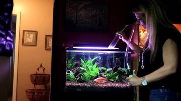 Python No Spill Water Change System