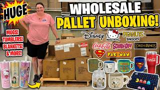 😱 Wholesale Pallet Unboxing | Disney, Hello Kitty, Snoopy, Coca-Cola, Scooby-Doo & More!