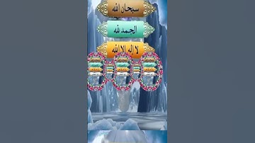 القارئ الشيخ محمد حامد السلكاوي