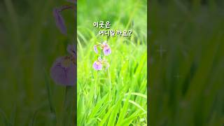 도심속 숨겨진 비밀정원  Iris garden / 이곳은 어디일까요?