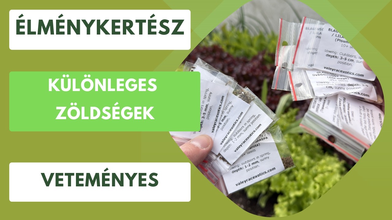 Különleges zöldségek vetése a kertben🏡
