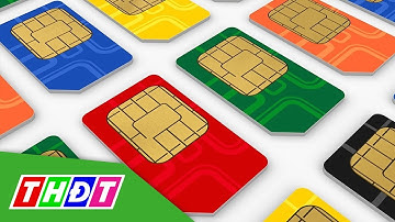 Tăng cường quản lý thông tin thuê bao di động trả trước | THDT