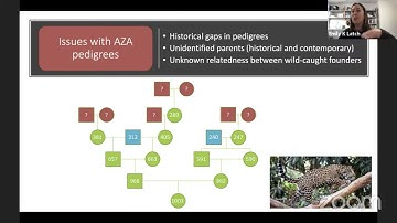 EVOLTREE Online Seminar: Emily Latch "Genomic data improves wildlife conservation"