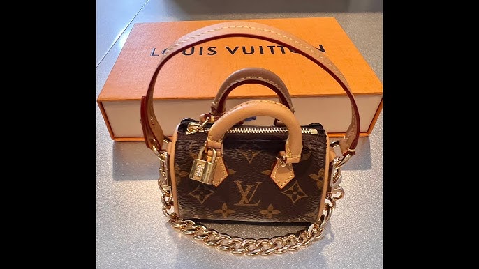 TAG Video: What's Inside My Louis Vuitton Speedy Micro Handbag 