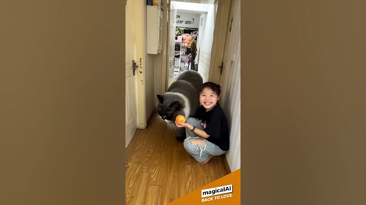 Watch the video about Summon a giant Scottish Fold cat #cat #cats #catlover #catshorts #catvideos #catlife #babycat #ai