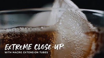 Extreme Close-Ups w/ Macro Extension Tubes