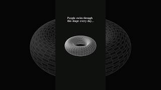 The Calculus of a Donut: Torus Volume Explained 🍩