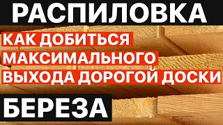 Как добиться максимального выхода дорогой доски. Береза