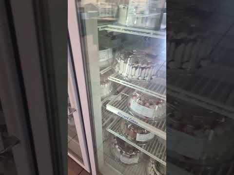 DQ Ice Cream Youtubeshorts Youtube Shortvideo Short Shorts Shortsfeed Food Vlog Chocolate