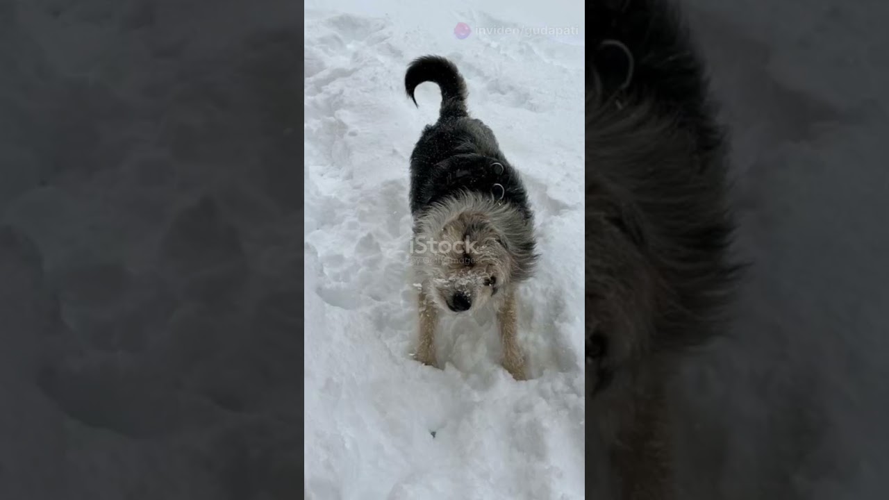 Top 5 Amazing Facts About Your Skin!  