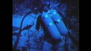 Celebrity The Story of SeaLab (1965) The US Navy's Undersea Laboratory Sea Lab Wealth