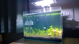 Setting Up Nano Planted Aquarium - DIY - YouTube