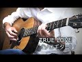 TRUE LOVE / 藤井フミヤ(ソロギター・カバー)