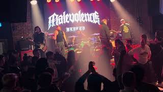 Malevolence 482026 meadows Brooklynny