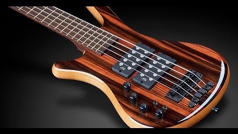 Warwick Custom Shop - Masterbuilt - Corvette $$ 5-String 3/8" Macassar Top High Polish #16-3138